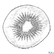kiwi Kolorowanki Do Druku